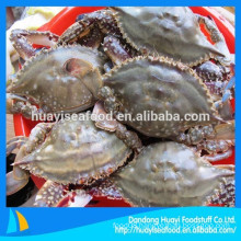 A wide range of cheap blue swimming crab